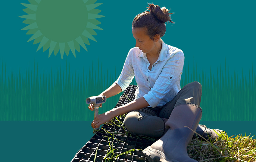 Composite image of a scientist sitting in the grass overlaid on a teal graphic.